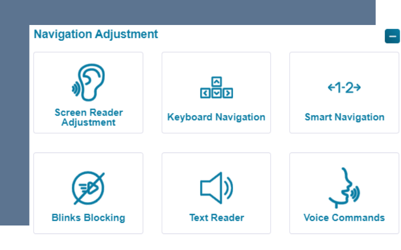 Website Accessibility - Text Reader Features